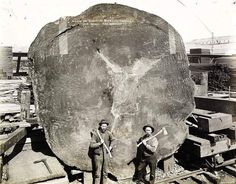 two men standing next to each other in front of a large log