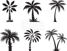 palm trees silhouettes on white background royalty