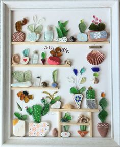 a white frame with many different types of cactus and succulents on it