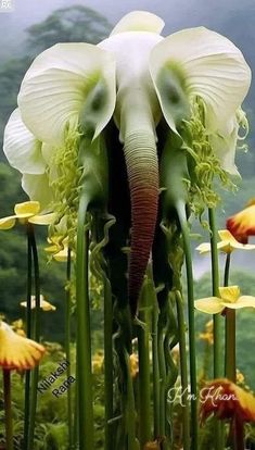 an elephant is standing in the middle of flowers