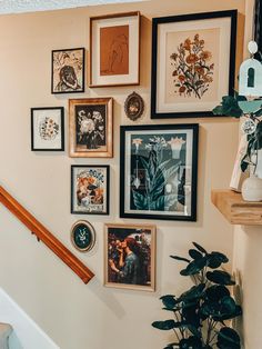 there are many framed pictures on the wall above the stairs in this house with plants