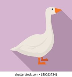 a white goose with orange feet standing in front of a purple background and long shadow