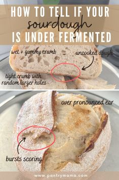 how to tell if your sourdough is under fermented