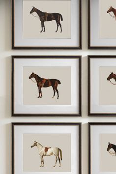 four framed pictures of horses in different colors and sizes, each with their own individual image