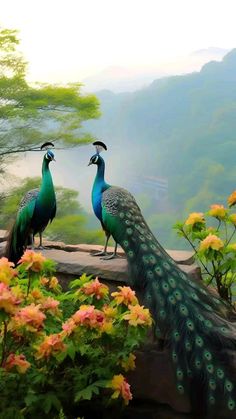 two peacocks standing on top of a stone wall next to colorful flowers and trees