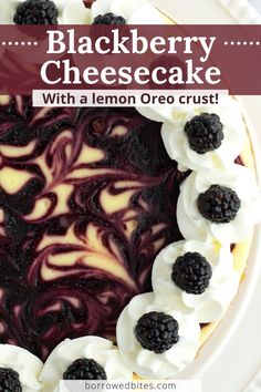 blackberry cheesecake with a lemon oreo crust