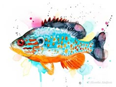 a painting of a colorful fish on a white background