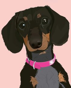 a black and brown dog wearing a pink collar