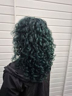 cabelo preto esverdeado cacheado shaggy Emerald Green Curly Hair, Green And Black Curly Hair, Dark Green Hair Curly, Green Hair On Brown Skin, Dyed Wavy Hair Ideas, Dark Green Hair Black Women, Dark Green Curly Hair, Teal Curly Hair, Dyed Dark Hair