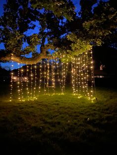 an outdoor area with lights strung from the trees and on the grass at night time