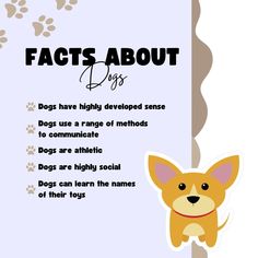 a dog's paw is shown with the words fact about dogs