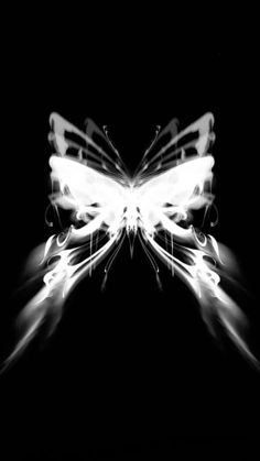 a black and white photo of a butterfly with light streaks on it's wings