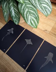 four black cards with white dots on them next to a plant