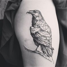 a black and white photo of a bird on the thigh