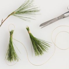 scissors, twine and needles are sitting on a white surface next to some branches