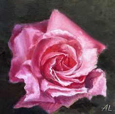 a painting of a pink rose on a black background