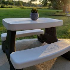 a white bench with a potted plant on it in the middle of a park