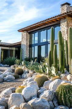 a house with many cactus in front of it and rocks around the outside area,