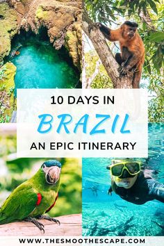 the top ten things to see in brazil with text overlaying it that reads 10 days