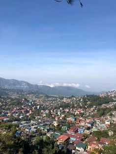 a city with lots of houses and trees in the foreground, under a blue sky