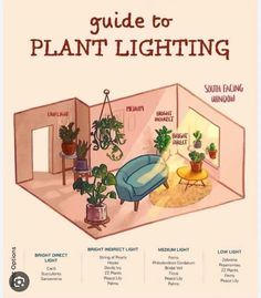 an illustrated guide to plant lighting