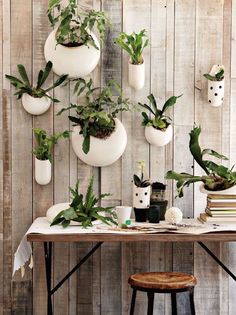 a table topped with lots of potted plants next to a wall mounted planter