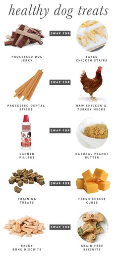 the health benefits of dog treats are shown in this poster, which shows how to use them