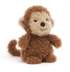 a brown teddy bear sitting up against a white background