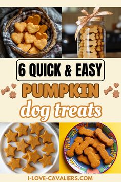 pumpkin dog treats with text overlay that says 6 quick and easy pumpkin dog treats