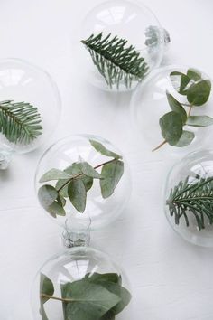 several clear glass vases filled with plants on top of a table