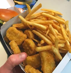 a box filled with fried food next to a pile of fries and a burger in the background