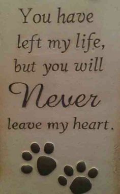 a dog's paw prints on a white towel with the words you have left my life, but you will never leave my heart