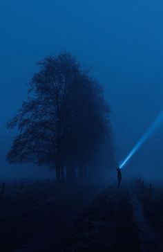 a person standing in the middle of a foggy field with a light shining on them