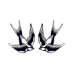 two black and white birds flying side by side in the air with wings spread out