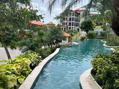 an outdoor swimming pool surrounded by lush vegetation