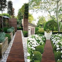 an outdoor garden with wooden walkways and white flowers in the center, surrounded by greenery