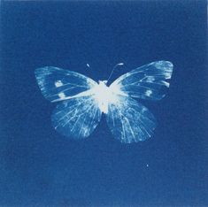 a blue and white butterfly flying in the sky