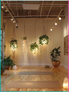 yoga mats with plants hanging from the ceiling