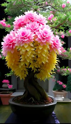 a bonsai tree with pink and yellow flowers