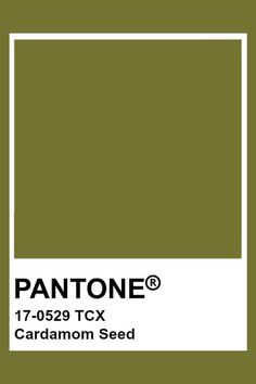 pantone's green cardamon seed