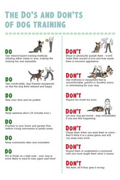 the do's and don'ts of dog training poster with instructions for dogs