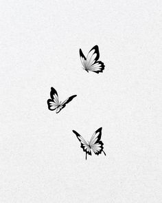 three black and white butterflies flying in the sky