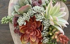 an arrangement of succulents in a heart shaped vase