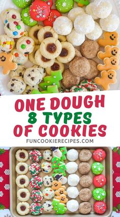 one dough 8 types of cookies on a plate with the title overlay above it