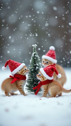 two small kittens wearing santa hats next to a tiny christmas tree in the snow