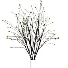 a white vase filled with branches and green leaves