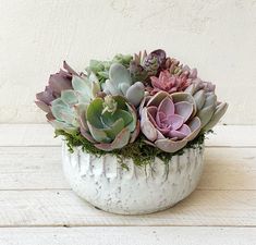 Talulla Planter. Diy Bridal Party, Cactus Types, Succulent Centerpieces, Types Of Succulents, Flowers Bouquet Gift, Succulent Wedding, Diy Bridal, Succulent Arrangements, Diy Centerpieces