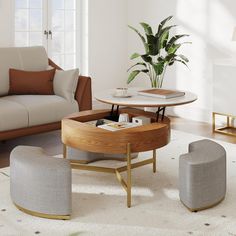 a living room filled with furniture and a plant in the middle of the room on top of a coffee table