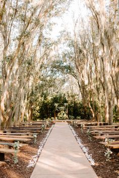 an outdoor ceremony setup with wooden benches and white flowers on the aisle, surrounded by trees