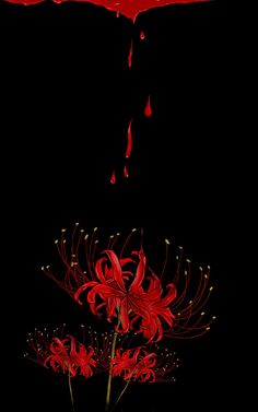 red flowers with drops of water on them in front of a black background that appears to be dripping from an umbrella